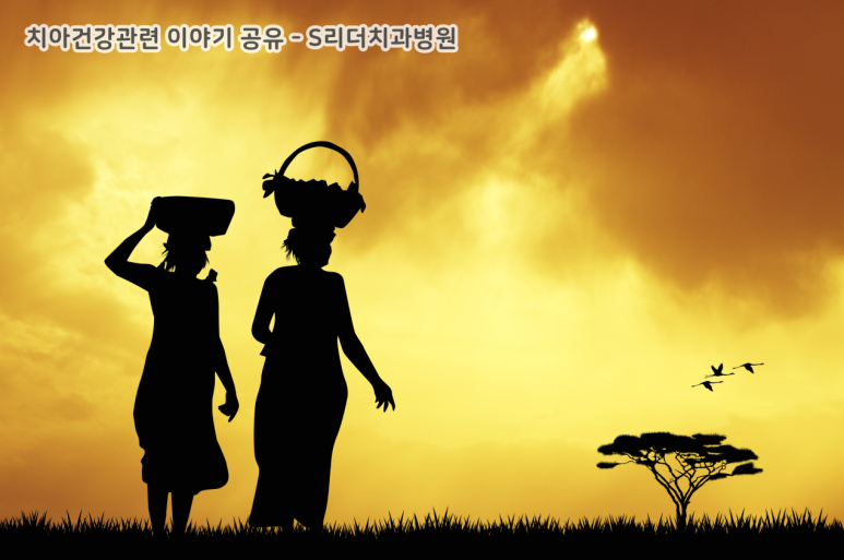 치아건강관리에서 식생활이 무엇보다 중요한 이유 관련 이미지 4