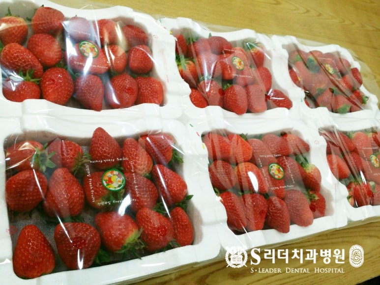 딸기효능 딸기먹고 건강챙기고 관련 이미지 1