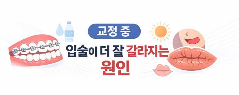 How to Manage Chapped Lips During Orthodontic Treatment, as Explained by a Gwangjin-gu Dental Clinic image 3