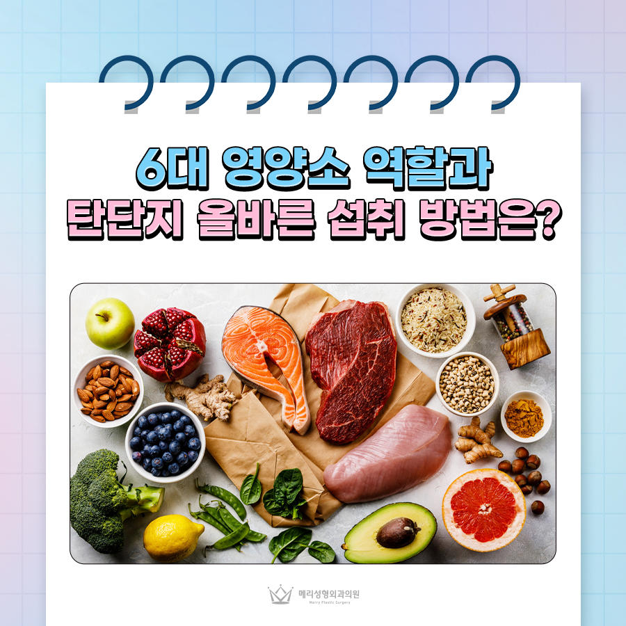 6대 영양소 역할과 탄단지 올바른 섭취 방법은? 관련 이미지 1