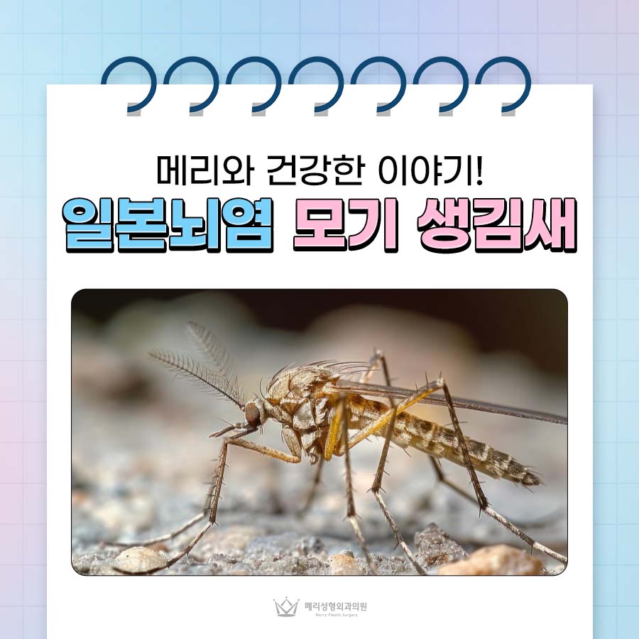 What Does the Japanese Encephalitis Mosquito Look Like, What Are the Symptoms, and Is There a Vaccination? image 1