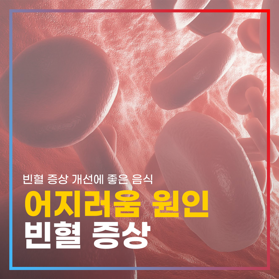 어지러움 원인 빈혈 증상과 개선에 좋은 음식 관련 이미지 1