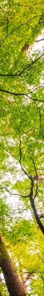 눈 밑 지방돌출 원인 파악하여 부작용 걱정 없는 재배치해요 관련 이미지 17