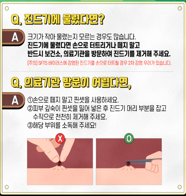 봄철 야외활동, 진드기 물림 주의사항 5가지! 진드기 사진, 진드기 물린 흉터 보고 기억하세요. 관련 이미지 5