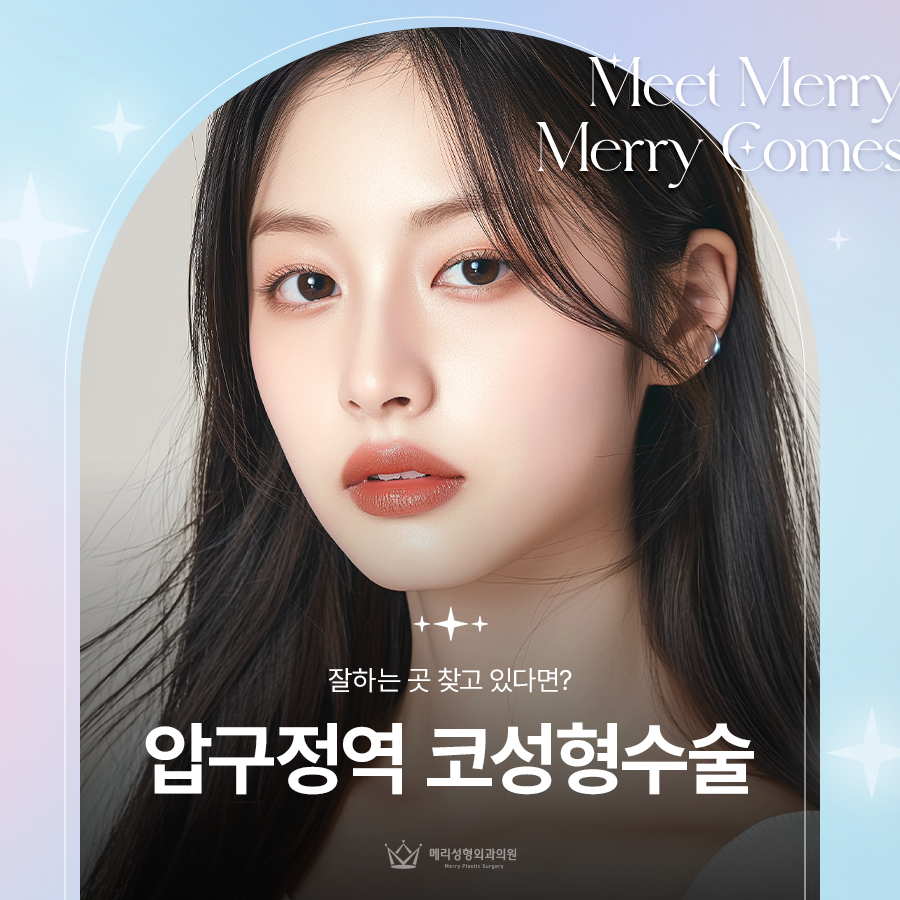 압구정역 코성형수술 잘하는 곳 찾고 있다면? 관련 이미지 1