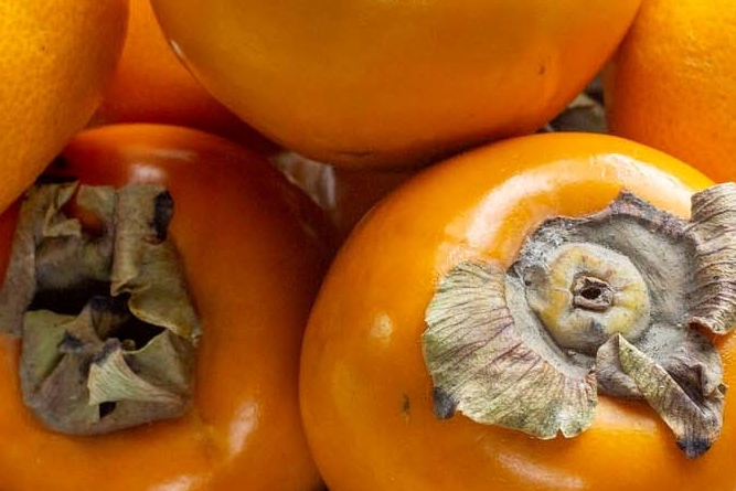Persimmon and Soft Persimmon Benefits and Side Effects: Be Careful About Constipation image 10