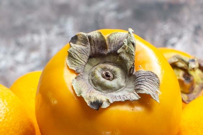 Persimmon and Soft Persimmon Benefits and Side Effects: Be Careful About Constipation image 7