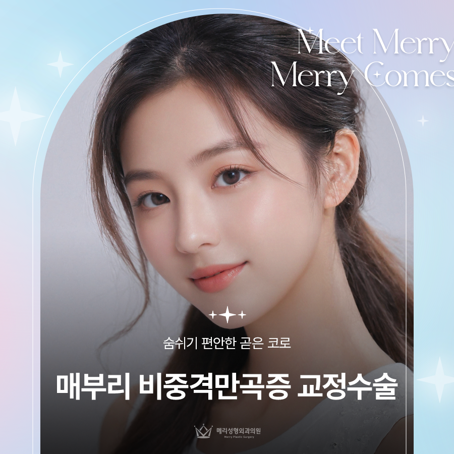 매부리 비중격만곡증 교정수술 숨쉬기 편안한 곧은 코로 관련 이미지 1
