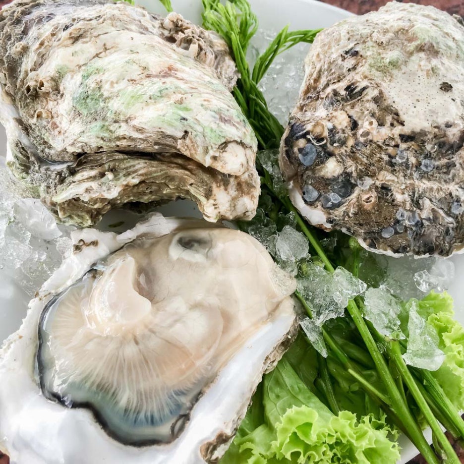 Oyster Season and Benefits: Be Careful About Norovirus image 3