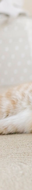Carefully Managing Midlife Eye Sagging and Crow’s Feet with Thread Lifting image 13