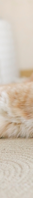 Carefully Managing Midlife Eye Sagging and Crow’s Feet with Thread Lifting image 14