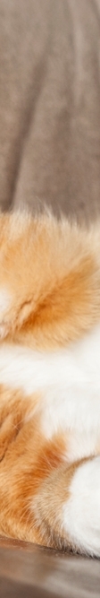 Cold Compress vs. Warm Compress: How Should You Treat a Bruise? image 13