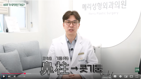 코끝, 콧대만 신경 쓰셨나요? 비주 모양이 코성형의 완성도를 좌우합니다 관련 이미지 2