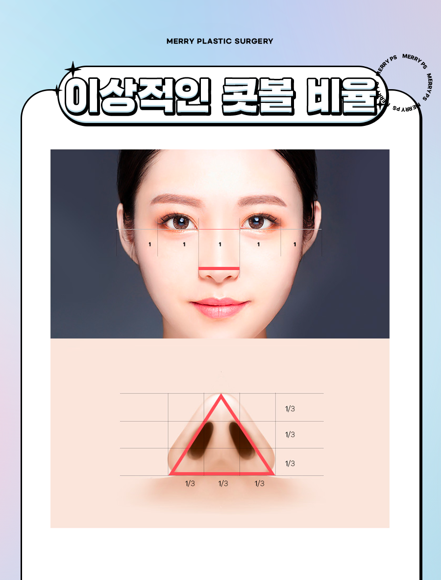 메리 콧볼축소수술 슬림한 코 모양을 위해서 관련 이미지 2