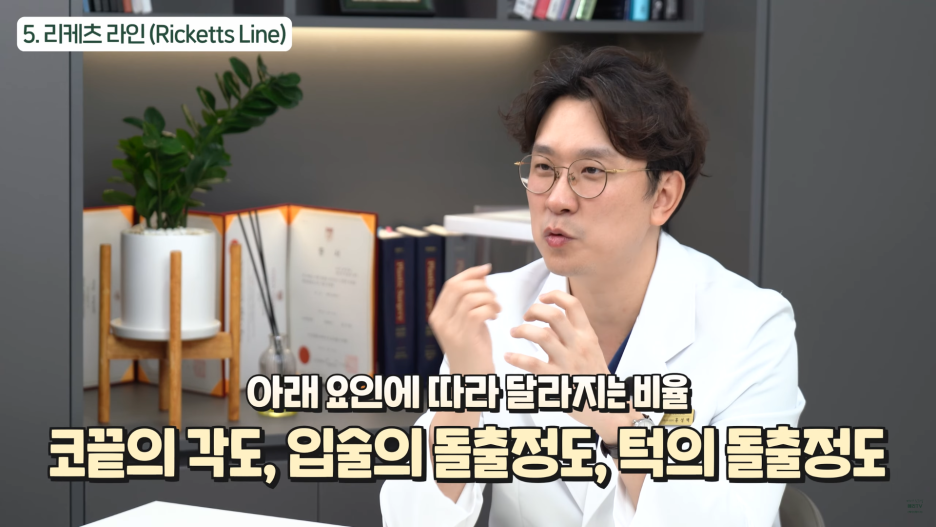 논현 코성형 라인 측면에서 봤을 때 예쁜 코는? 관련 이미지 11