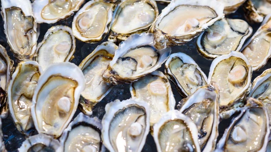 Oyster Season and Benefits: Be Careful About Norovirus image 2