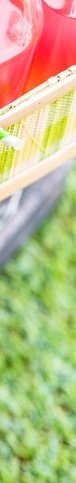 Avocado Benefits, Ripening Time, and Is It a Fruit or a Vegetable? image 14