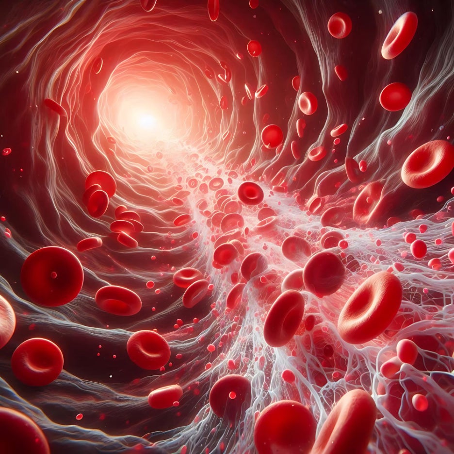 Normal Blood Pressure Range, Blood Pressure Values, Reasons for Low Blood Pressure, and What Counts as Hypotension image 4