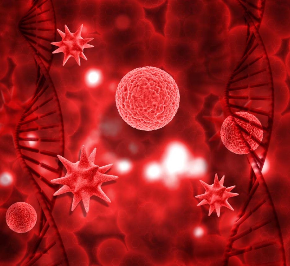hiv 바이러스 증상 보균자 뜻 치료방법은 관련 이미지 2