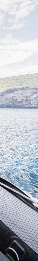 Why Do Legs Swell, and How Can You Relieve It When Pain and Numbness Appear? image 13