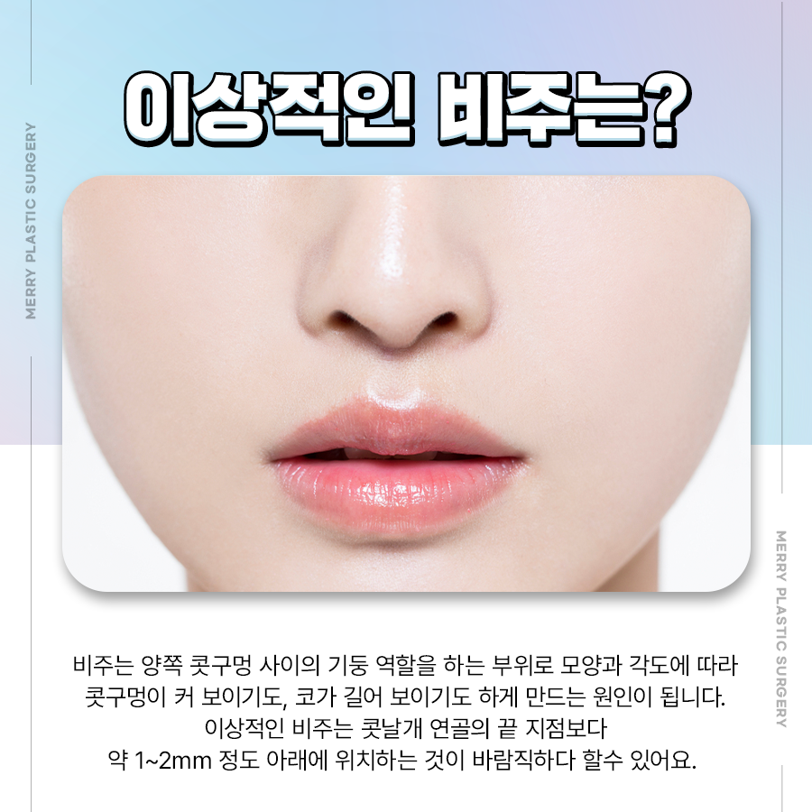 신논현 비주교정수술 코끝에 따라 달라지는 코 모양 관련 이미지 3