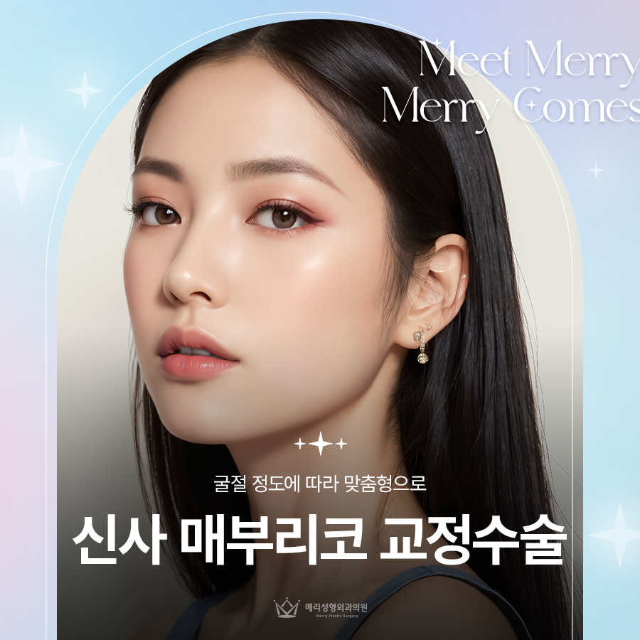 신사 매부리코 교정수술, 굴절 정도에 따라 맞춤형으로 관련 이미지 1