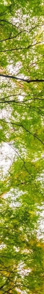 눈 밑 지방돌출 원인 파악하여 부작용 걱정 없는 재배치해요 관련 이미지 15