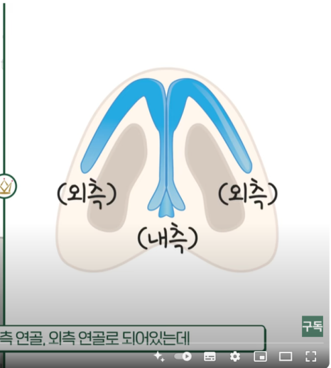 코끝, 콧대만 신경 쓰셨나요? 비주 모양이 코성형의 완성도를 좌우합니다 관련 이미지 4