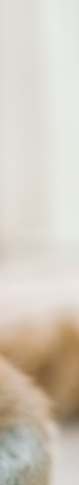 혈당 조절에 좋은 음식 혈당 스파이크 당뇨 주의! 관련 이미지 15