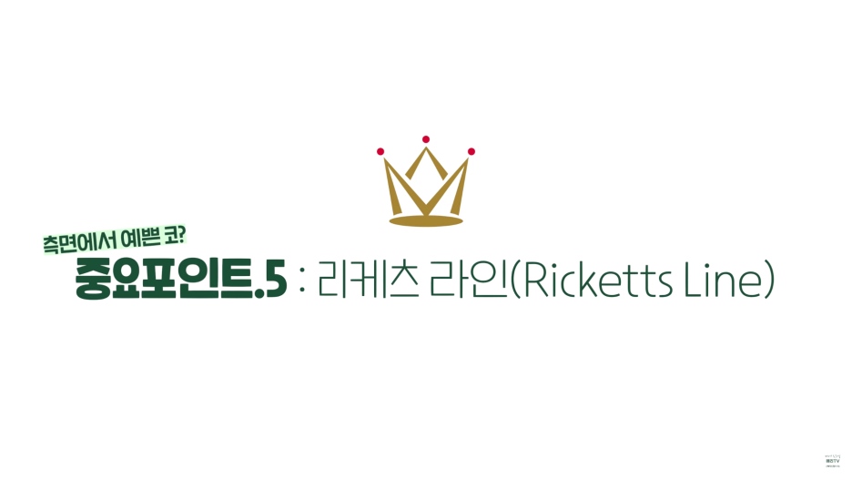 논현 코성형 라인 측면에서 봤을 때 예쁜 코는? 관련 이미지 9