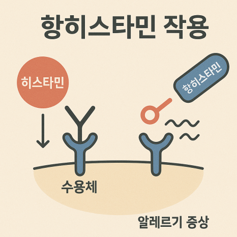 Allergies :: Histobulin Injection, Allergy-Improvement Injection / Rhinitis Immunotherapy Injection — Can It Really Boost Immunity? image 7