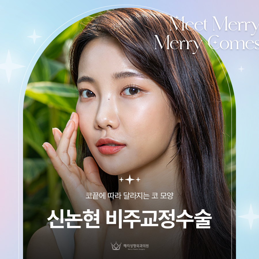 신논현 비주교정수술 코끝에 따라 달라지는 코 모양 관련 이미지 1