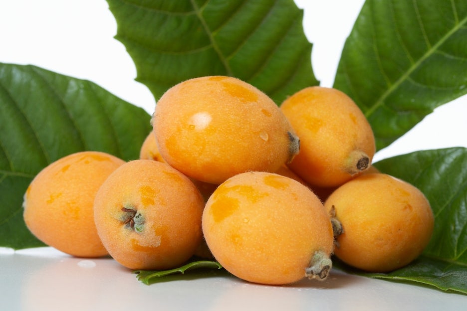 Loquat Fruit Benefits, Harvest Season, Taste, and How to Eat It image 3