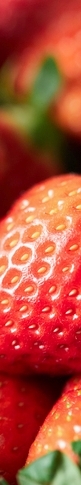 Foods That Are Effective for Improving Insomnia: What Foods Are Good for Better Sleep? image 14