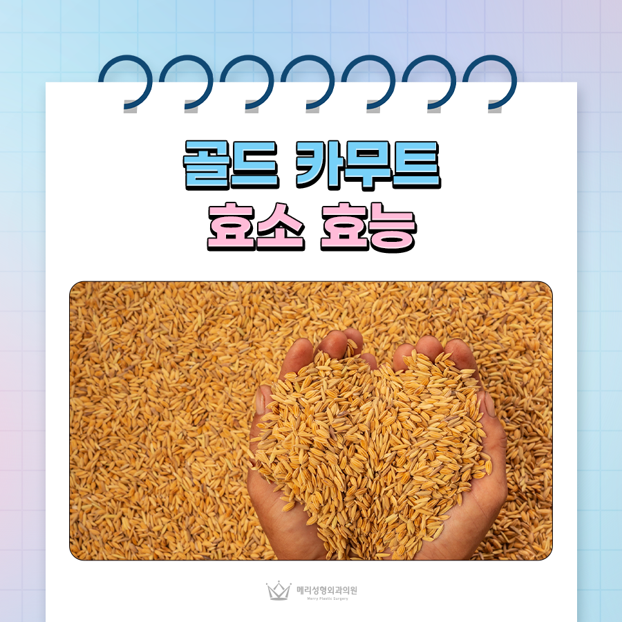 골드 카무트 효소 효능과 먹는 방법, 부작용은? 관련 이미지 1