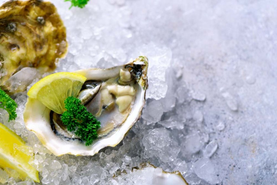 Oyster Season and Benefits: Be Careful About Norovirus image 6