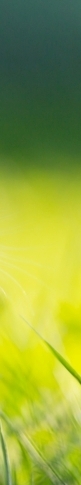 Foods That Help Improve Depression: Why You Crave Sweets When You’re Feeling Down image 14