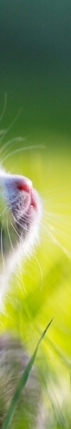Foods That Help Improve Depression: Why You Crave Sweets When You’re Feeling Down image 13