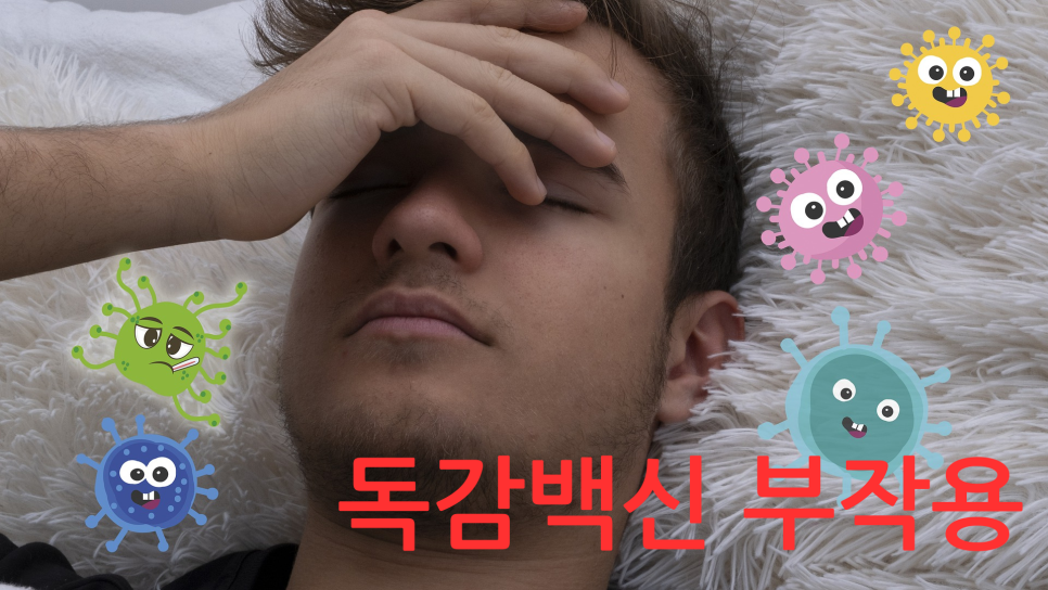 독감 백신 맞으면 진짜 안전할까? 부작용부터 동시접종까지 완벽 정리! 관련 이미지 2