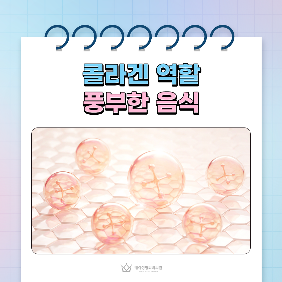 콜라겐 역할과 풍부한 음식, 피부를 탄력 있게! 관련 이미지 1