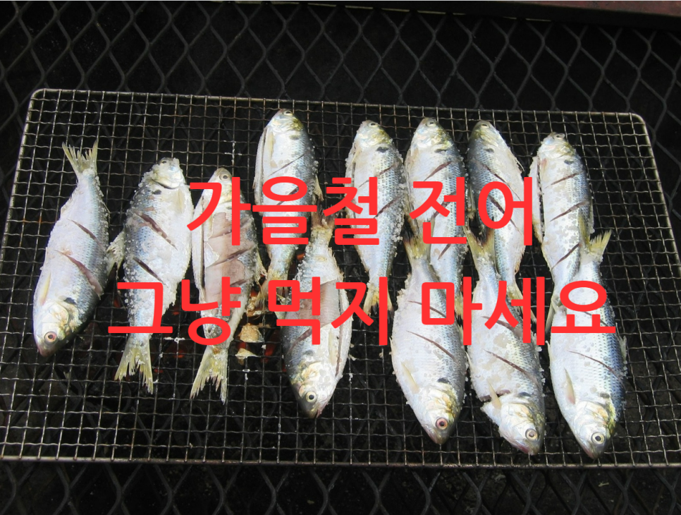 Gizzard shad: Don’t just eat it! From the season, cooking methods, benefits, to precautions image 1