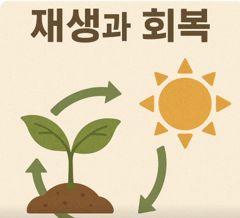 구축코(헌집), 신축코(새집, 신축성있음)? 코도 재건축이 필요합니다. (feat. 메리 말랑이 주사) 관련 이미지 5
