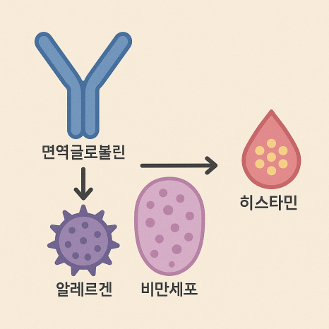 Allergies :: Histobulin Injection, Allergy-Improvement Injection / Rhinitis Immunotherapy Injection — Can It Really Boost Immunity? image 2