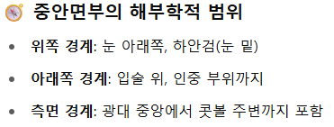 실리프팅 :: 중안면부 탄력/팔자주름 고민? 실리프팅으로 당기고, 유지하세요! 관련 이미지 2