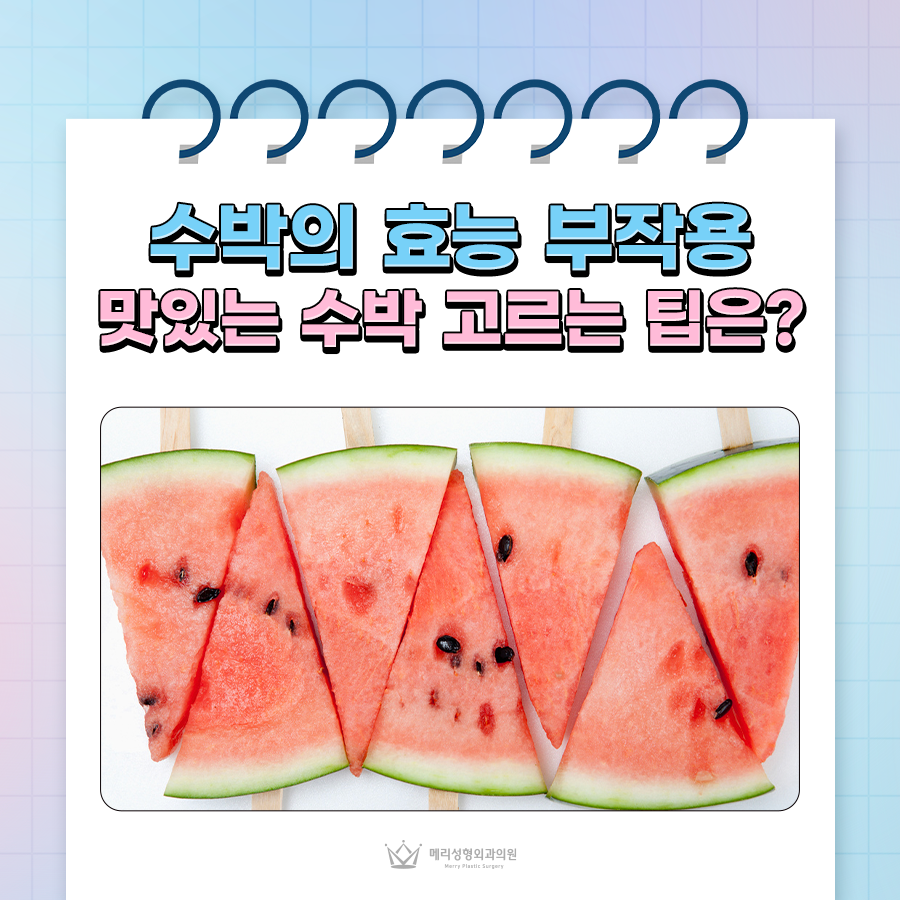 수박의 효능 부작용, 맛있는 수박 고르는 팁은? 관련 이미지 1