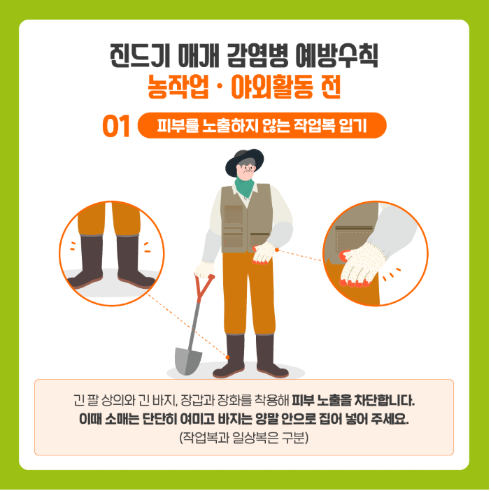 봄철 야외활동, 진드기 물림 주의사항 5가지! 진드기 사진, 진드기 물린 흉터 보고 기억하세요. 관련 이미지 4