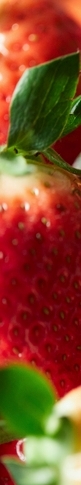 Foods That Are Effective for Improving Insomnia: What Foods Are Good for Better Sleep? image 10