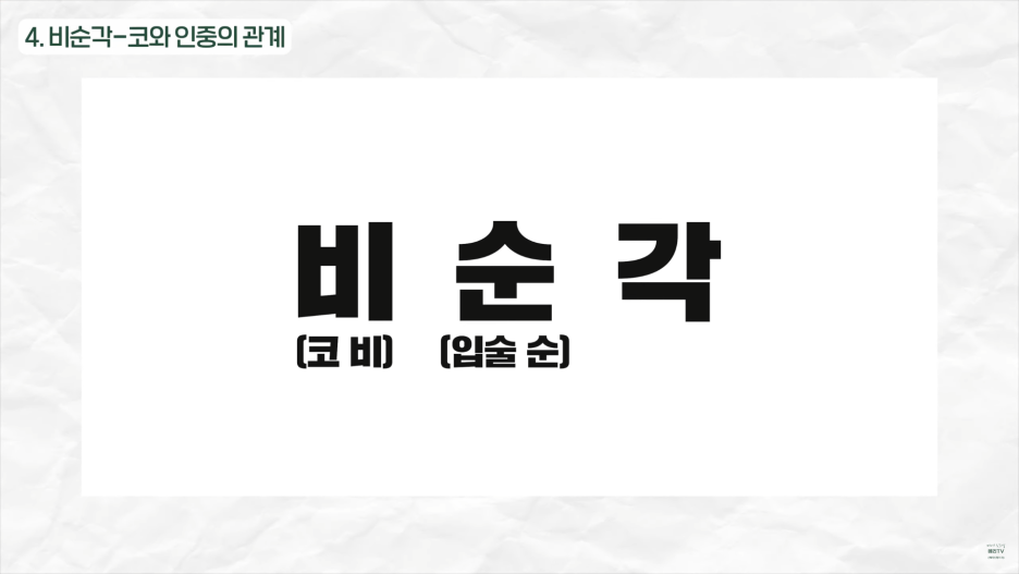 논현 코성형 라인 측면에서 봤을 때 예쁜 코는? 관련 이미지 7