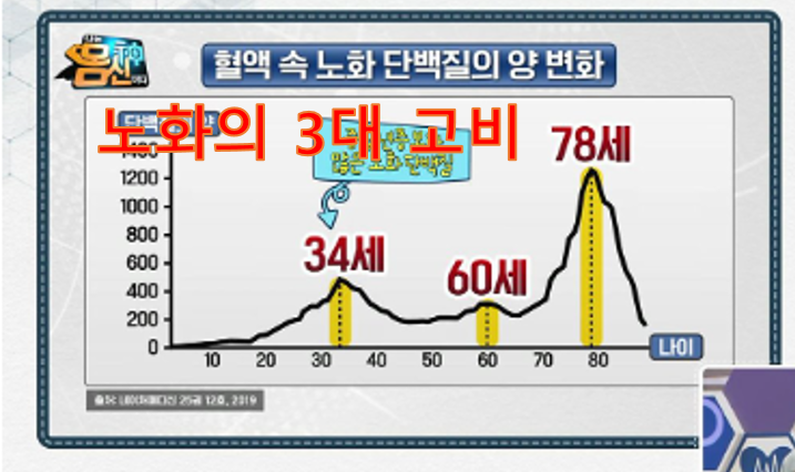 간헐적 단식과 저속노화:: 관련 이미지 1