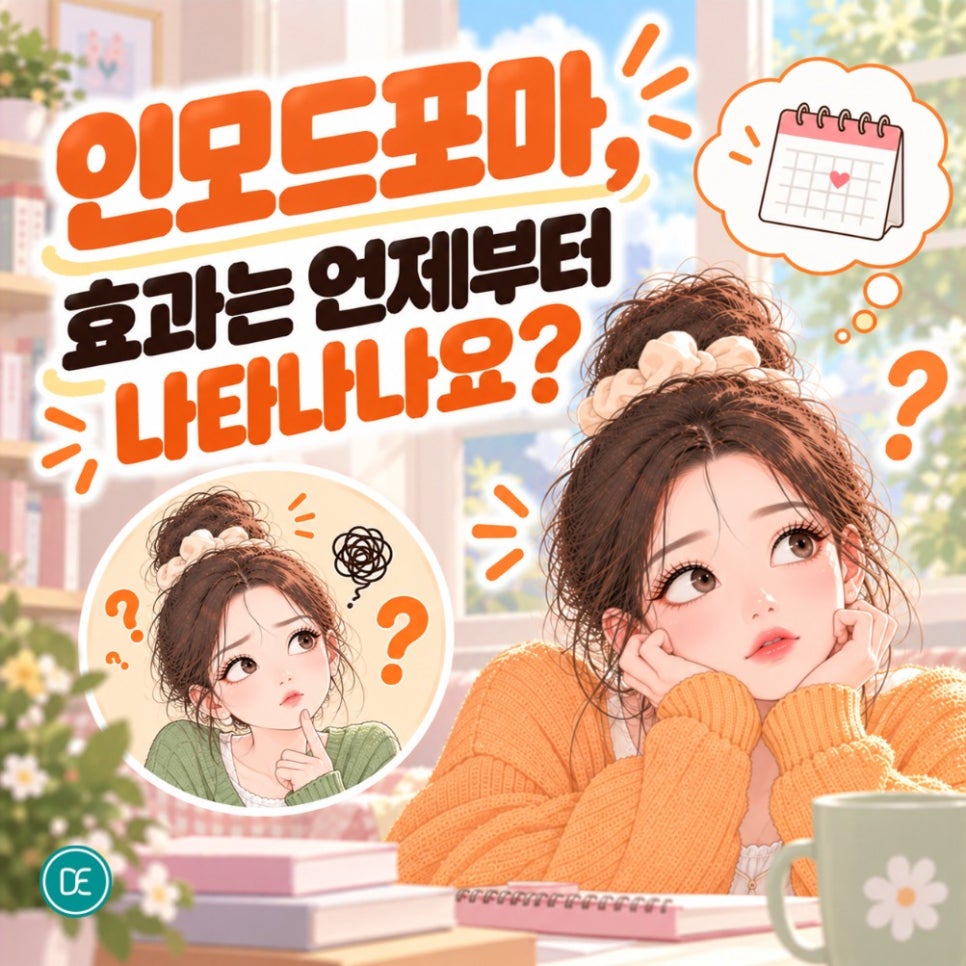 청량리역 인모드포마, FX와 뭐가 다른 걸까? 관련 이미지 4